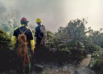 “Señores, lo encontramos”: Así fue localizado muerto el ingeniero chino Wang Zhanbin en El Ávila (VIDEO)