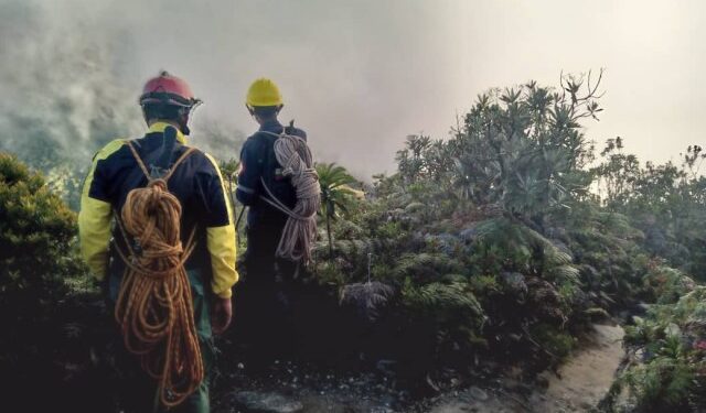 “Señores, lo encontramos”: Así fue localizado muerto el ingeniero chino Wang Zhanbin en El Ávila (VIDEO)