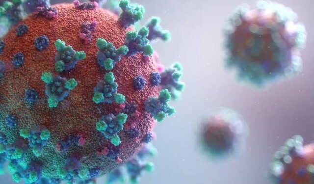 El Covid-19 resurgió en EEUU pero los científicos consideran que es una amenaza menor