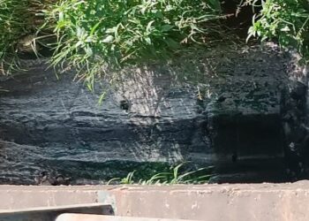 Sector Las Quince Letras de Macuto vive en medio de una “piscina de cloaca” (Imágenes)