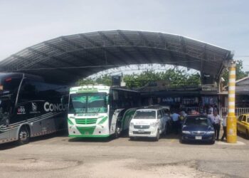 Entre trámites y obstáculos: La situación actual del transporte binacional colombo-venezolano