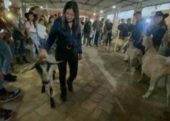 In Táchira’s livestock breeders association, in western Venezuela, was exhibited a goat that produces 7.4 liters of milk in one milking