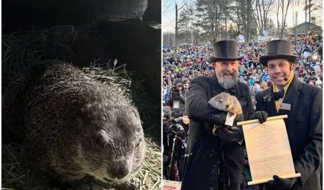 Día de la Marmota 2024: piden reemplazar a la mascota Phil por una moneda gigante