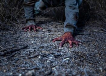 Revelan cuál es la peor ciudad para vivir si sobreviene un apocalipsis zombie