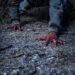 Revelan cuál es la peor ciudad para vivir si sobreviene un apocalipsis zombie