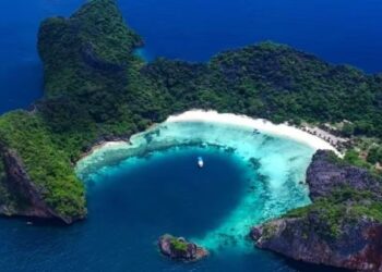 EN VIDEO: Lograron filmar a la ballena blanca más rara del mundo