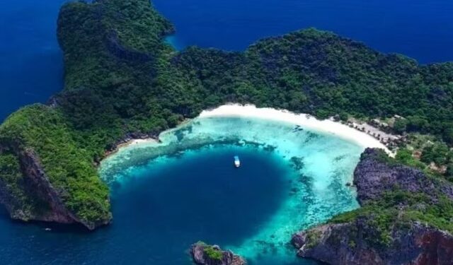 EN VIDEO: Lograron filmar a la ballena blanca más rara del mundo