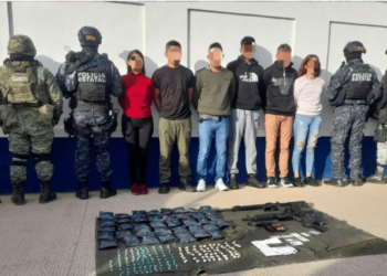 Desmantelaron célula que distribuía droga en México: una venezolana entre los detenidos