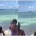Terror en la playa: un tiburón se acercó a metros de la costa y bañistas huyeron para evitar la muerte (VIDEO)