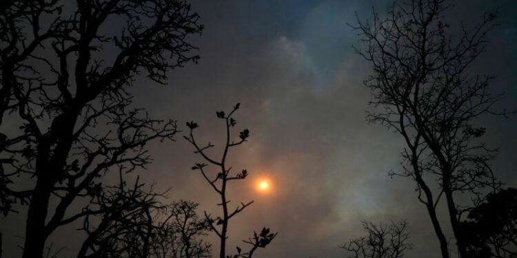 Se dispara deforestación en sabana brasileña a su mayor nivel desde 2019