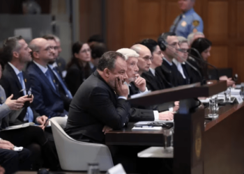 Qué países apoyan el caso de Sudáfrica ante la CIJ y cuáles a Israel