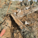 Israel destruyó más de 700 lanzacohetes de Hamás desde el inicio de la ofensiva terrestre