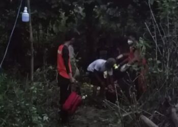 Ataque salvaje: cocodrilo devoró a una niña de nueve años frente a sus hermanos