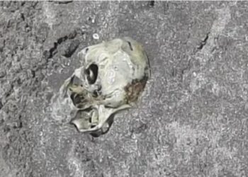 Caminaban por una playa y hallaron un cráneo enterrado en la arena