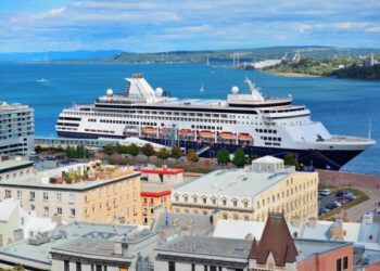 VIDEO: Pasajero reveló lo que “nunca hay que decir en un crucero” para disfrutar del viaje