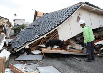 Sismo de 5,3 volvió a sacudir Japón mientras siguen las tareas de rescate