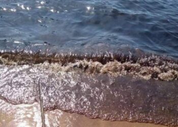 Oil spills in the Golfete de Coro in north western Venezuela continue to rise and Pdvsa does not assume its responsibility