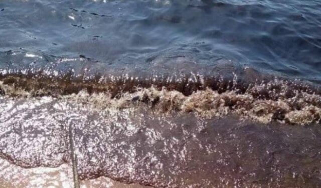 Oil spills in the Golfete de Coro in north western Venezuela continue to rise and Pdvsa does not assume its responsibility