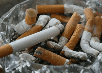 OMS revela que cifra de fumadores en el mundo sigue disminuyendo