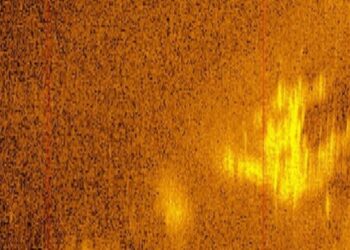 ¿Resolvieron el misterio de Amelia Earhart? Un sonar podría haber descubierto su avión perdido