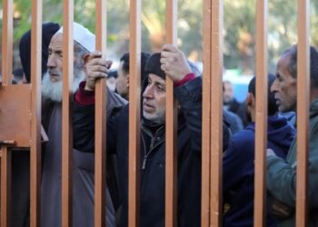 Funcionario de educación estadounidense dimite por la política Israel-Gaza de Biden