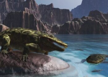 Hallan piel fosilizada de un reptil 21 millones de años más antigua que otras muestras