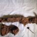 Descubren espada vikinga con una “inscripción misteriosa” en un río de Polonia