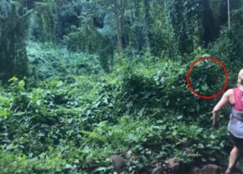 Una mujer corrió una maratón en una selva, le sacaron una FOTO y captaron un “fantasma hawaiano”