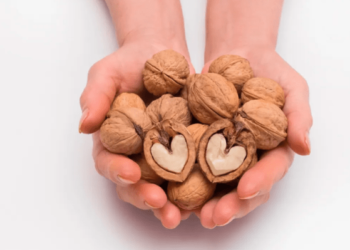 Descubre cómo el consumo de nueces mejora la salud cardiaca y el metabolismo