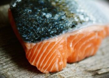 Los secretos del salmón, un aliado esencial para una vida saludable
