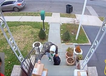 VIDEO: Ladrón quiso salirse con las suyas en Nueva York, pero un civil lo atrapó cuando intentaba huir de la policía