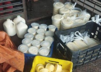 Mérida: apagones ponen en jaque producción de leche y derivados en Jají
