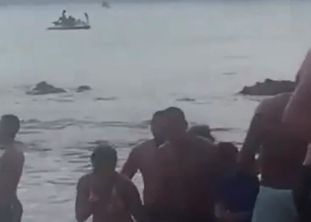 Sin pudor alguno: pareja decidió tener sexo en una playa en frente de familias que quedaron horrorizadas (Imágenes)