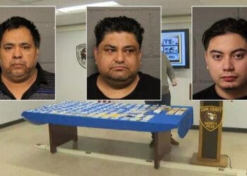 Les prometían permiso de trabajo: arrestan a tres hispanos de Chicago por vender documentos falsos a migrantes