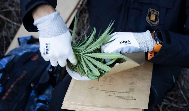 Crueldad infantil: Obligan a tres niños a dormir en la sala de su casa porque el cuarto era una plantación de marihuana