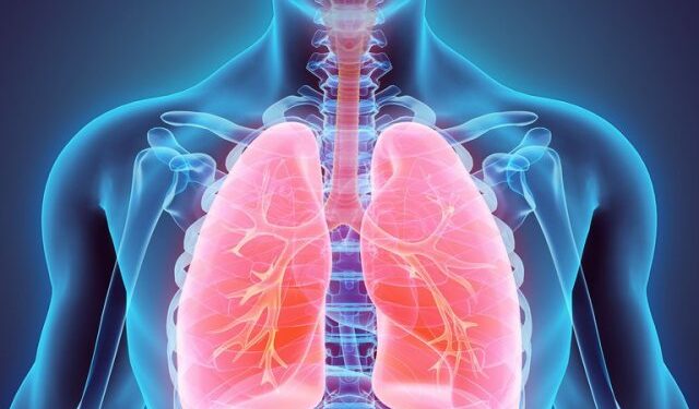 Covid-19, resfriados y tos: las razones detrás del aumento de las infecciones