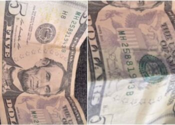 Extremadamente valioso: el curioso detalle en un billete de cinco dólares que multiplica mil veces su valor