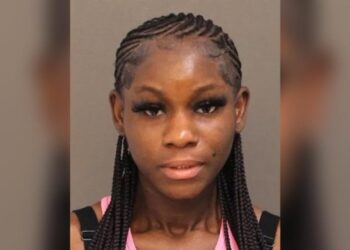 Crueldad en Pensilvania: Youtuber torturaba y mataba animales en vivo para obtener likes