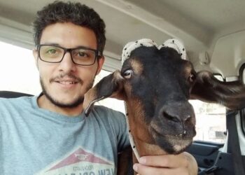 Vegano pagó un dineral por una cabra para evitar que se la comieran y encabezó campaña que se volvió VIRAL
