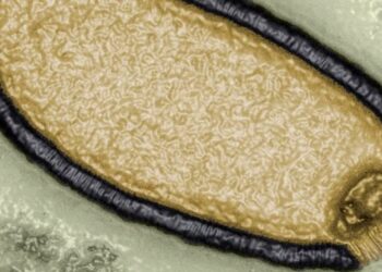 “Virus zombie” del Ártico podría provocar una nueva y mortal pandemia