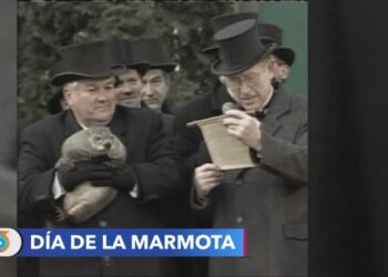 Día de la marmota: Tradición estadounidense que asegura predecir la llegada de la primavera