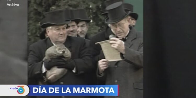 Día de la marmota: Tradición estadounidense que asegura predecir la llegada de la primavera