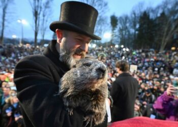 Punxsutawney Phil predice primavera temprana en festividades del Día de la Marmota
