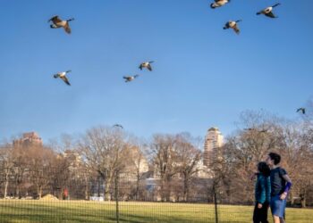 Trabajadores en EEUU aceptarían un recorte salarial del 20 % por una mayor calidad de vida: encuesta