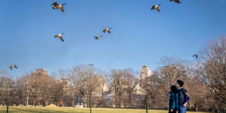 Trabajadores en EEUU aceptarían un recorte salarial del 20 % por una mayor calidad de vida: encuesta