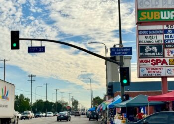 La mayor diáspora salvadoreña en EEUU se moviliza para votar en las elecciones del 4 de febrero