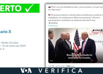 Es cierto que Donald Trump señaló: “Putin y yo nos llevamos bien”