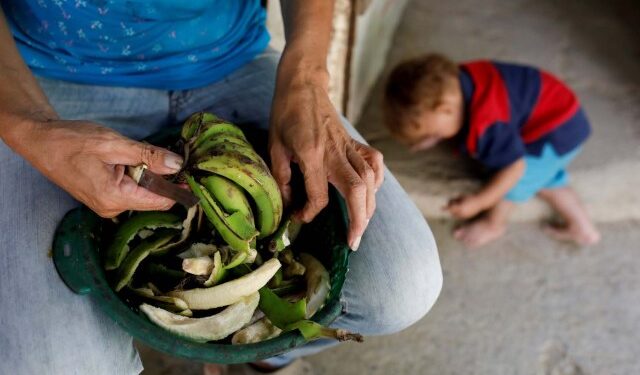 Las claves para resolver la crisis alimentaria en Venezuela tras informe de la ONU