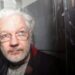 Julian Assange no se presentó en un juicio clave para decidir su extradición a EEUU: “No se sentía bien hoy”