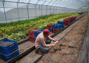 Agricultores claman por financiamiento bancario y combustible en Venezuela